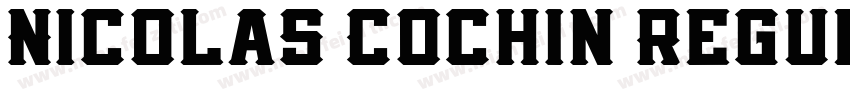 Nicolas Cochin Regul字体转换